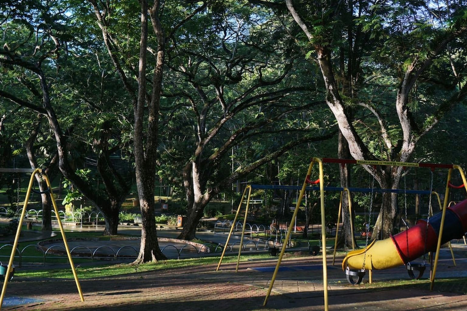 Plac zabaw z dużymi drzewami i rurą zjeżdżalnią, idealny do sesji dziecięcych.